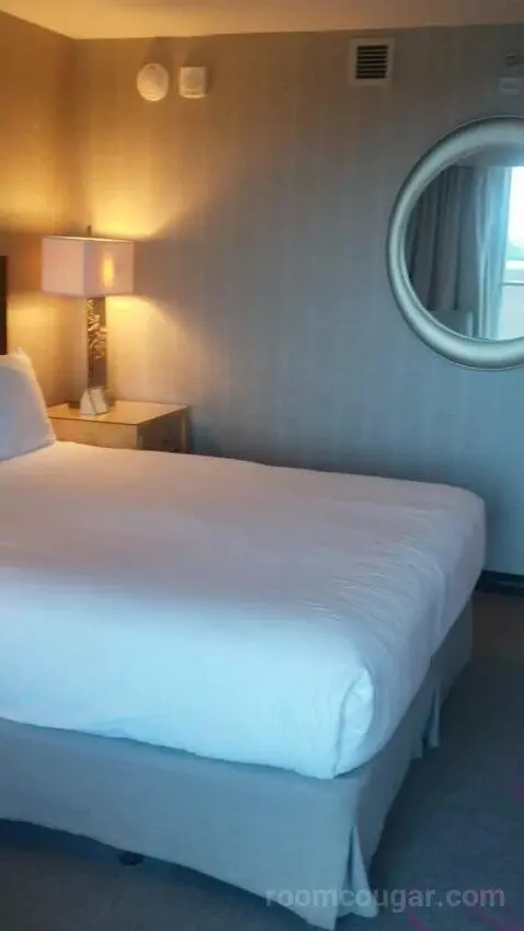Standard King Room - Lower Floor (#818) bed picture #9