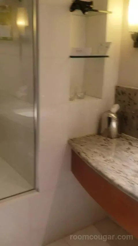 Standard King Room - Lower Floor (#818) bathroom picture #5