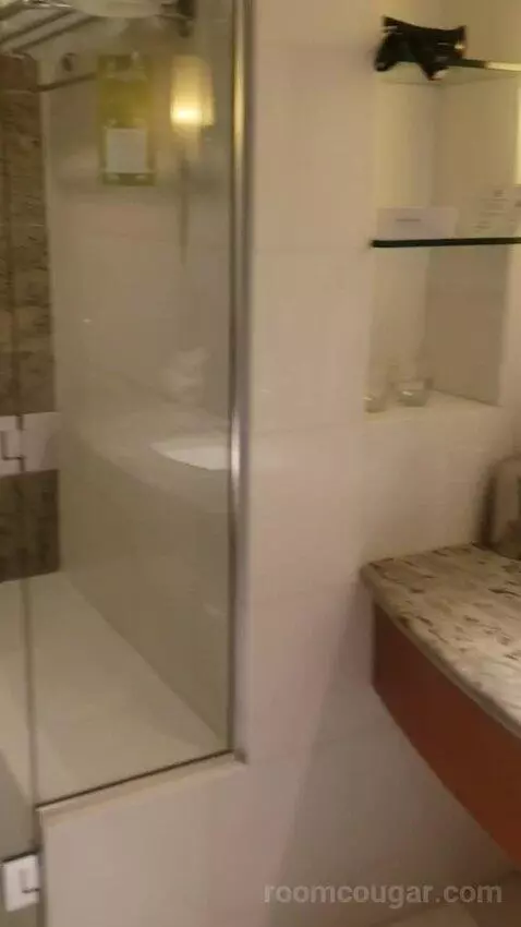 Standard King Room - Lower Floor (#818) bathroom picture #6