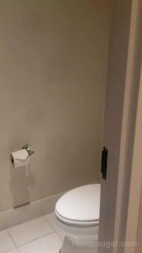 Standard King Room - Lower Floor (#818) bathroom picture #10