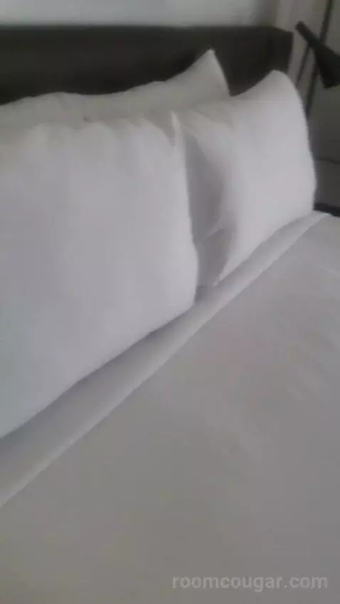 Ultra Hip Room, Premium King Fountain View (#2681) bed picture #1