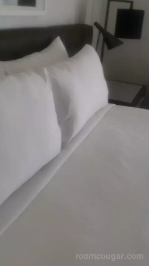 Ultra Hip Room, Premium King Fountain View (#2681) bed picture #2