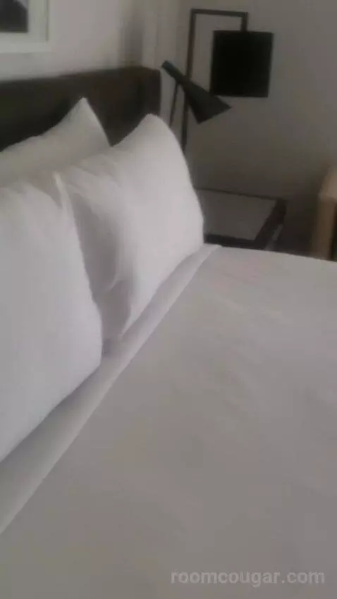 Ultra Hip Room, Premium King Fountain View (#2681) bed picture #3