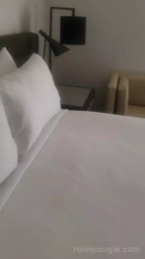 Ultra Hip Room, Premium King Fountain View (#2681) bed picture #4