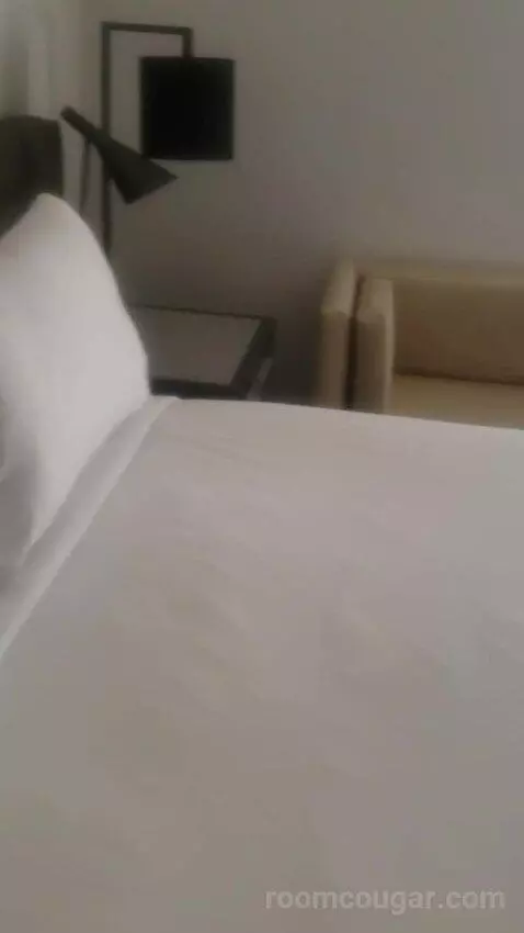 Ultra Hip Room, Premium King Fountain View (#2681) bed picture #5