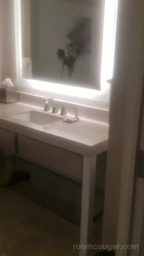 Ultra Hip Room, Premium King Fountain View (#2681) bathroom picture #1