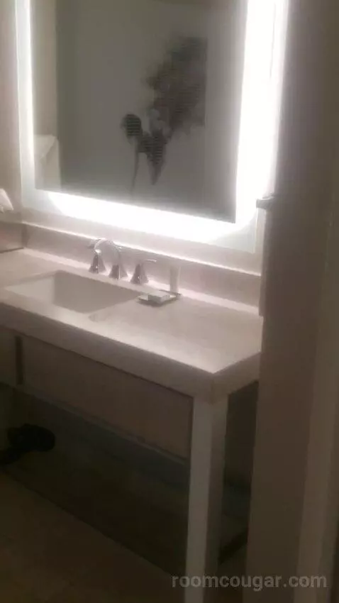 Ultra Hip Room, Premium King Fountain View (#2681) bathroom picture #3