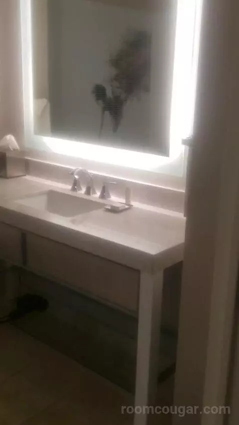 Ultra Hip Room, Premium King Fountain View (#2681) picture #3