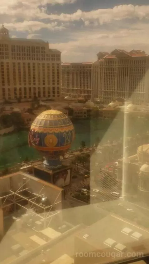 Ultra Hip Room, Premium King Fountain View (#2681) picture #21