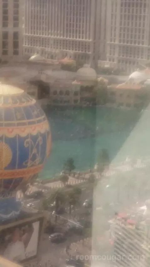 Ultra Hip Room, Premium King Fountain View (#2681) view picture #12