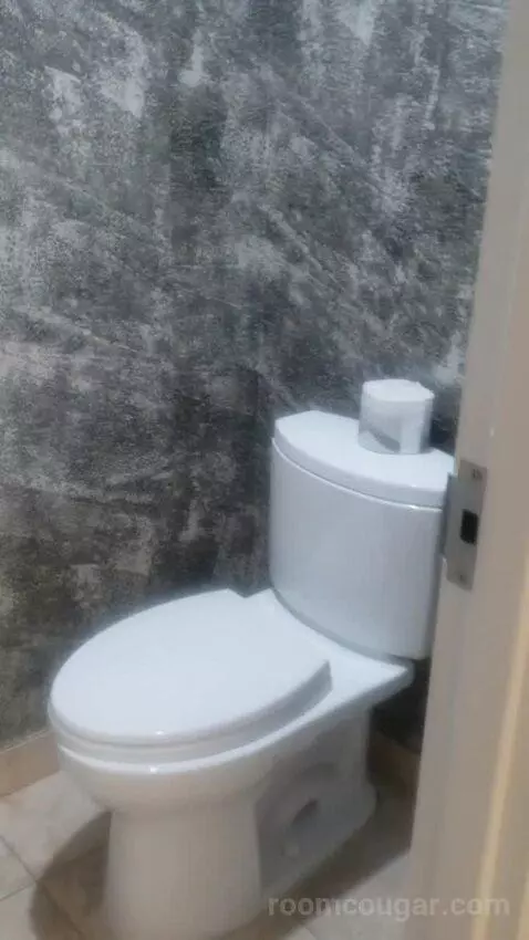 Ultra Hip Room, Premium King Fountain View (#2681) bathroom picture #9