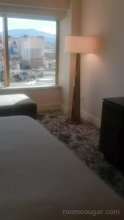 Penthouse Sky View Suite (#25001) view picture #11