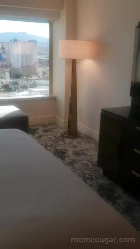 Penthouse Sky View Suite (#25001) view picture #12