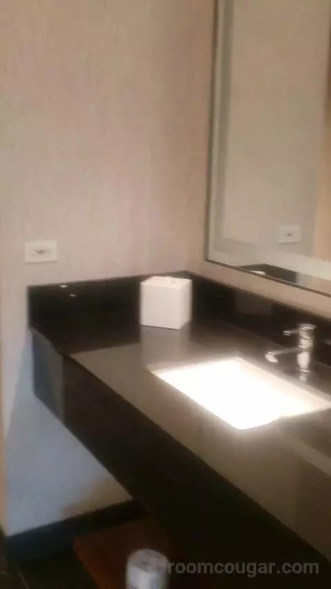 Penthouse Sky View Suite (#25001) bathroom picture #5