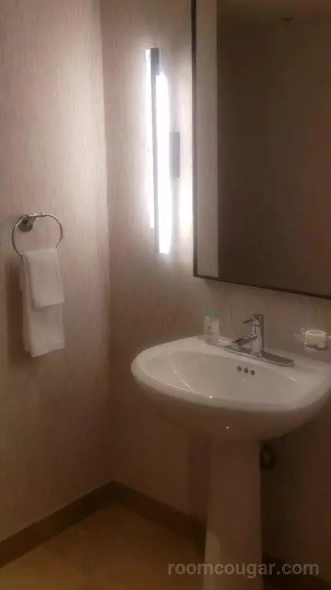Penthouse Sky View Suite (#25001) bathroom picture #2