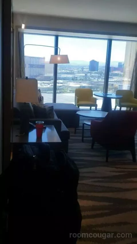 One-Bedroom King Suite with City View (#24206) picture #2