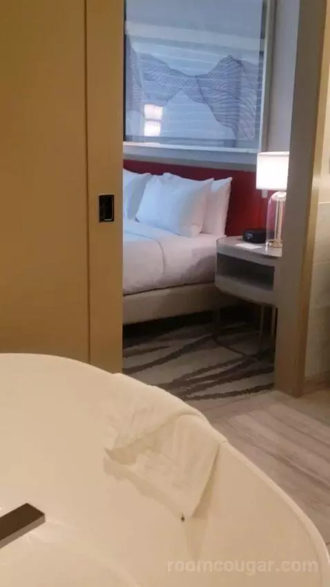 One-Bedroom King Suite with City View (#24206) bed picture #6