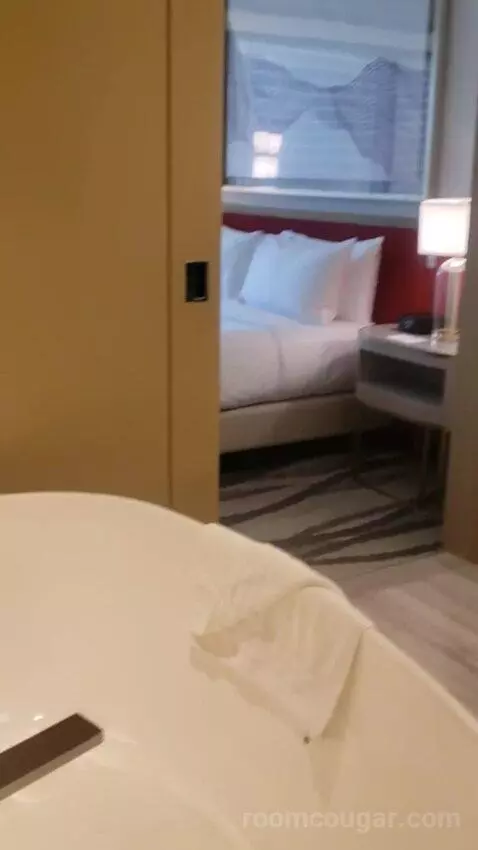 One-Bedroom King Suite with City View (#24206) bed picture #7