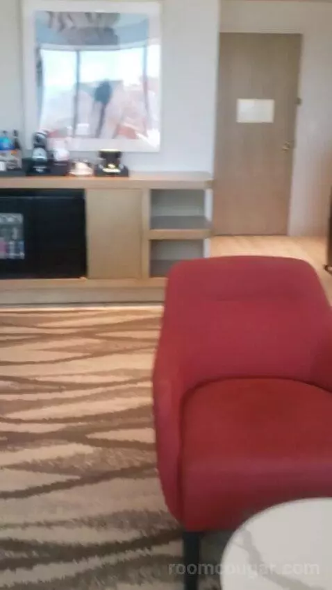 One-Bedroom King Suite with City View (#24206) picture #7