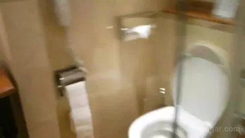 Deluxe Suite with Royal Spa and Executive Club Access bathroom picture #10
