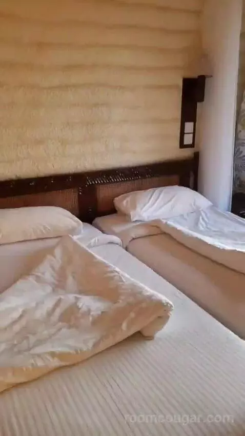 Standard (#36) bed picture #2