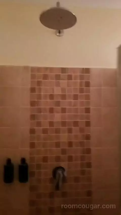 Standard (#36) bathroom picture #3