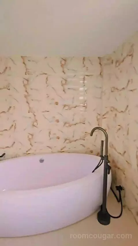 Suite (#12) bathroom picture #5