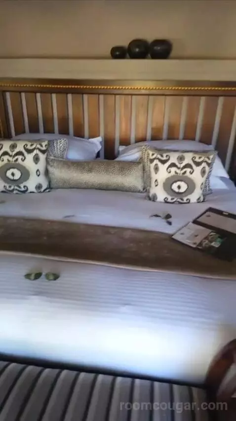Luxury Suite (#8) bed picture #5