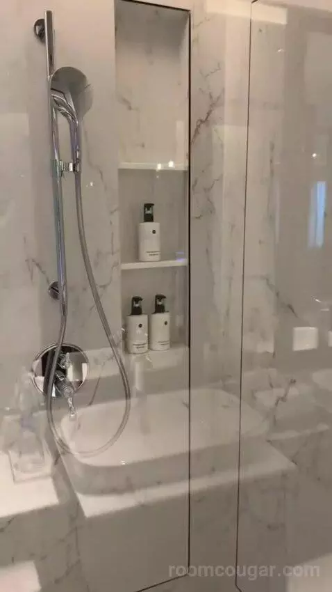 Classic King Room - Accessible (#1501) bathroom picture #7
