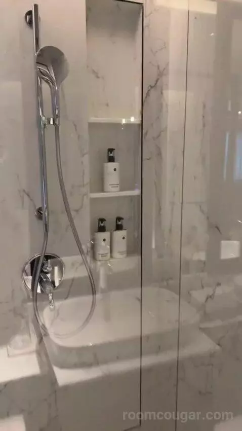 Classic King Room - Accessible (#1501) bathroom picture #8