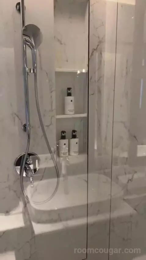 Classic King Room - Accessible (#1501) bathroom picture #9