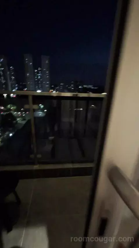 Standard view picture #1