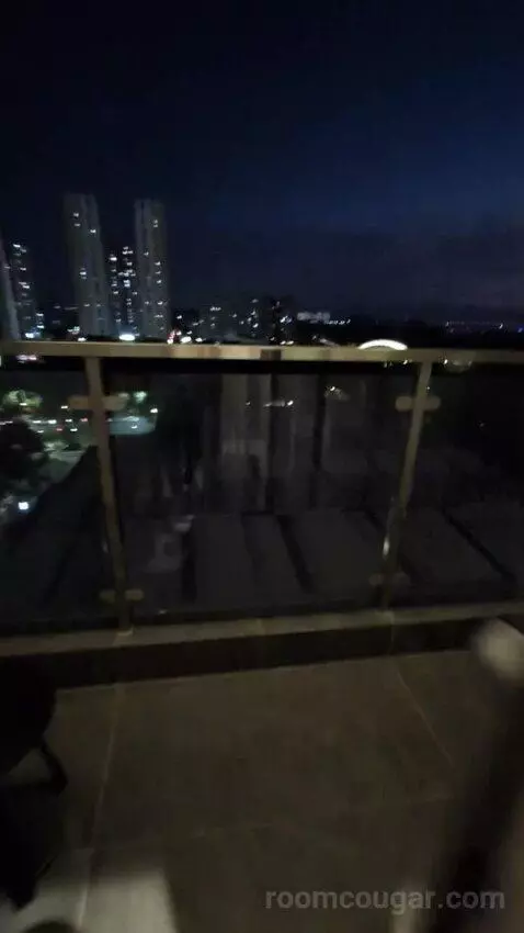 Standard view picture #2