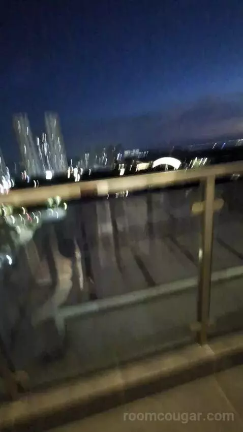 Standard view picture #3