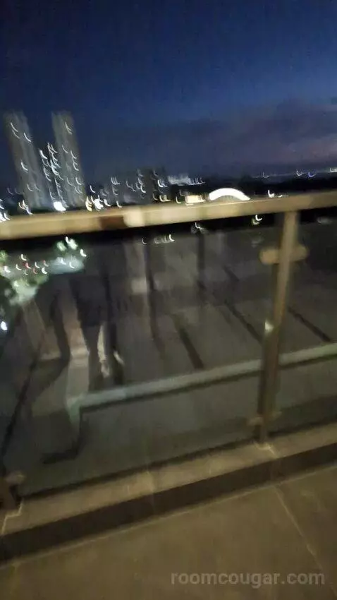 Standard view picture #4