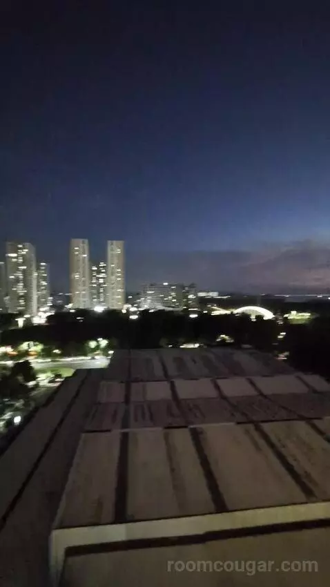 Standard view picture #5