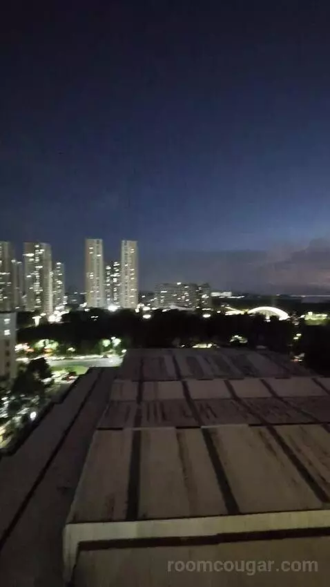 Standard view picture #6