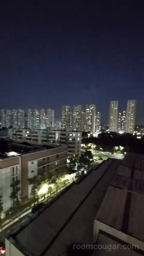 Standard view picture #7