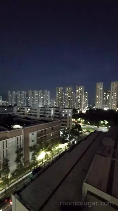 Standard view picture #8