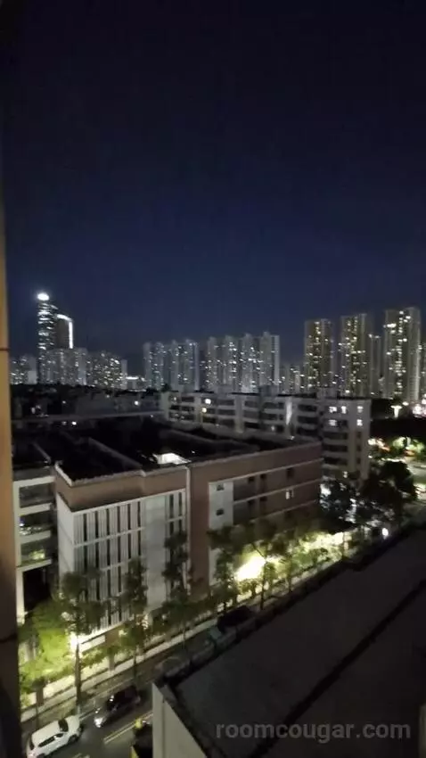 Standard view picture #9