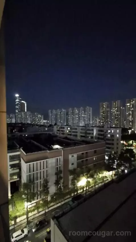 Standard view picture #10
