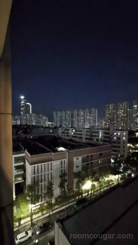 Standard view picture #11