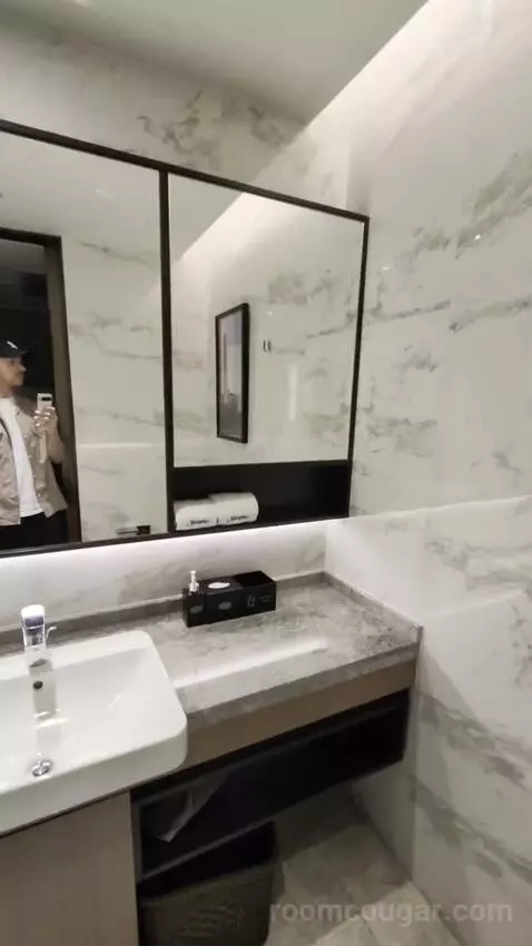 Standard bathroom picture #5