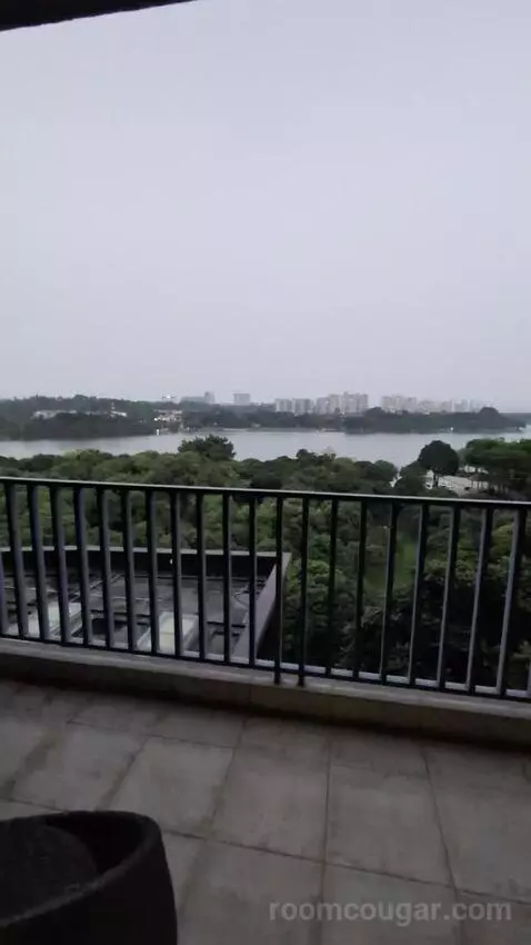 Standard view picture #1