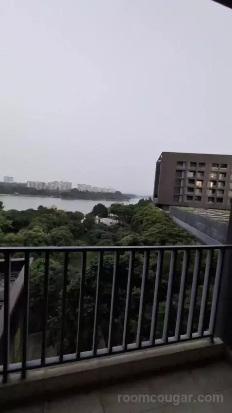 Standard view picture #2
