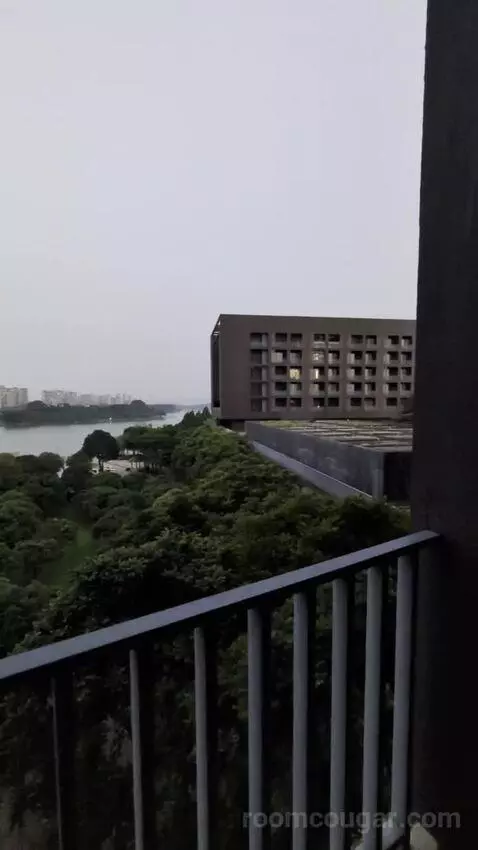 Standard view picture #3