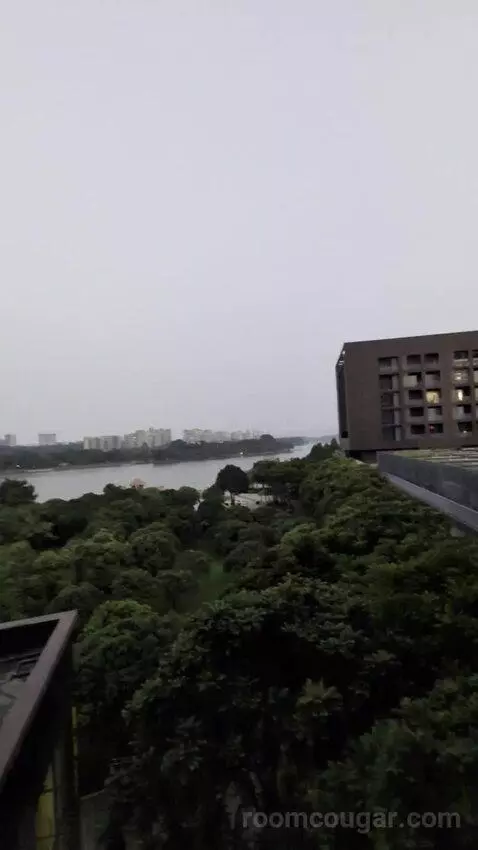 Standard view picture #4