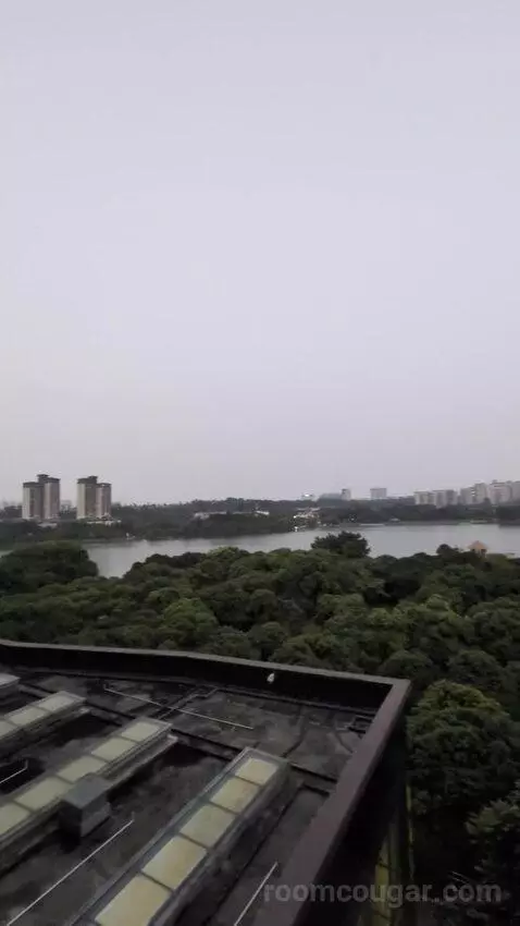 Standard view picture #5