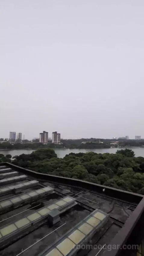 Standard view picture #6