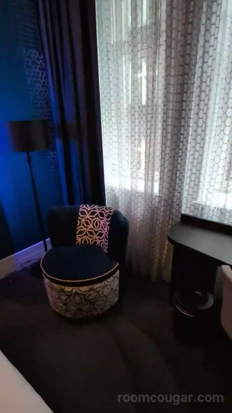 Superior Double Room (#281) picture #16